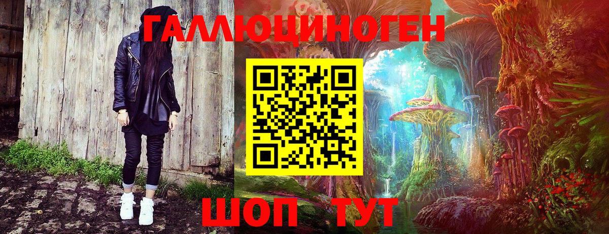 Кулебаки  Галлюциногенные грибы Psilocybine cubensis  Вход с VPN  наркота  Галлюциногенные грибы Psilocybe 